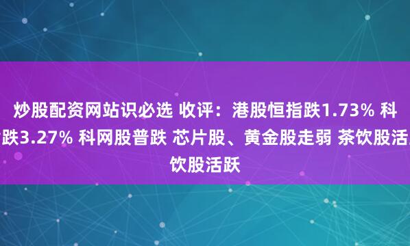 炒股配资网站识必选 收评：港股恒指跌1.73% 科指跌3.27% 科网股普跌 芯片股、黄金股走弱 茶饮股活跃